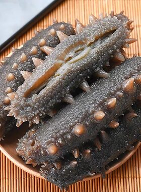 大连鲜活即食海参高品质新鲜冷冻野生深海辽刺参滋补独立包装500g