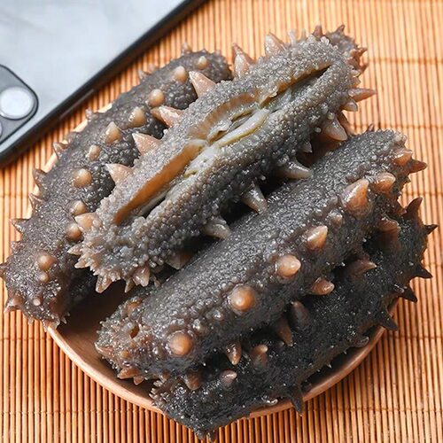 大连鲜活即食海参高品质新鲜冷冻野生深海辽刺参滋补独立包装500g
