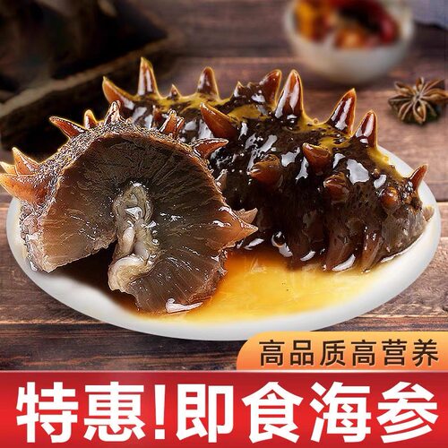 深海大连海参即食野生辽参冷冻水产海生辽刺参鲜活速食非干货500g