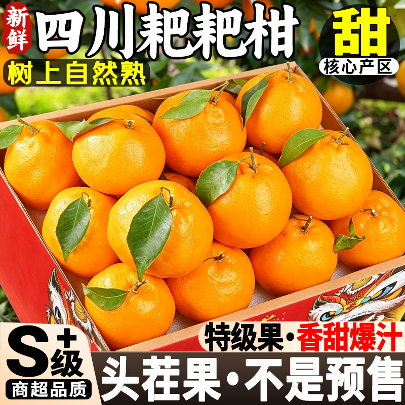 四川春见耙耙柑9斤新鲜水果整箱当季丑八怪粑粑柑橘子不蜜桔知火
