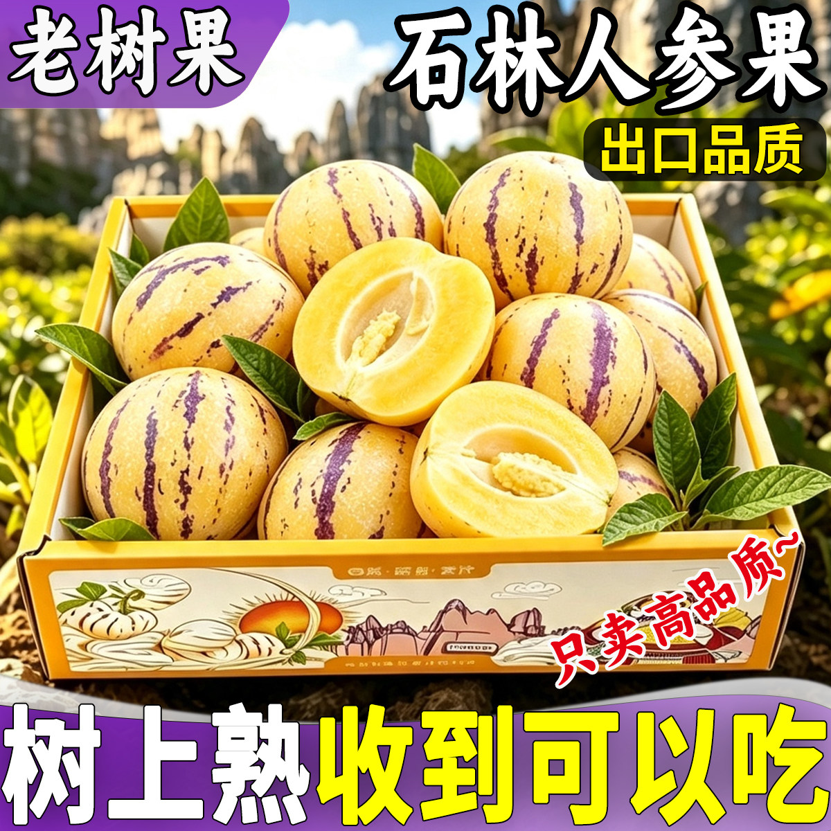 【石林人参果】云南新鲜水果当季整箱树上熟黄果圆果正品人生果娃