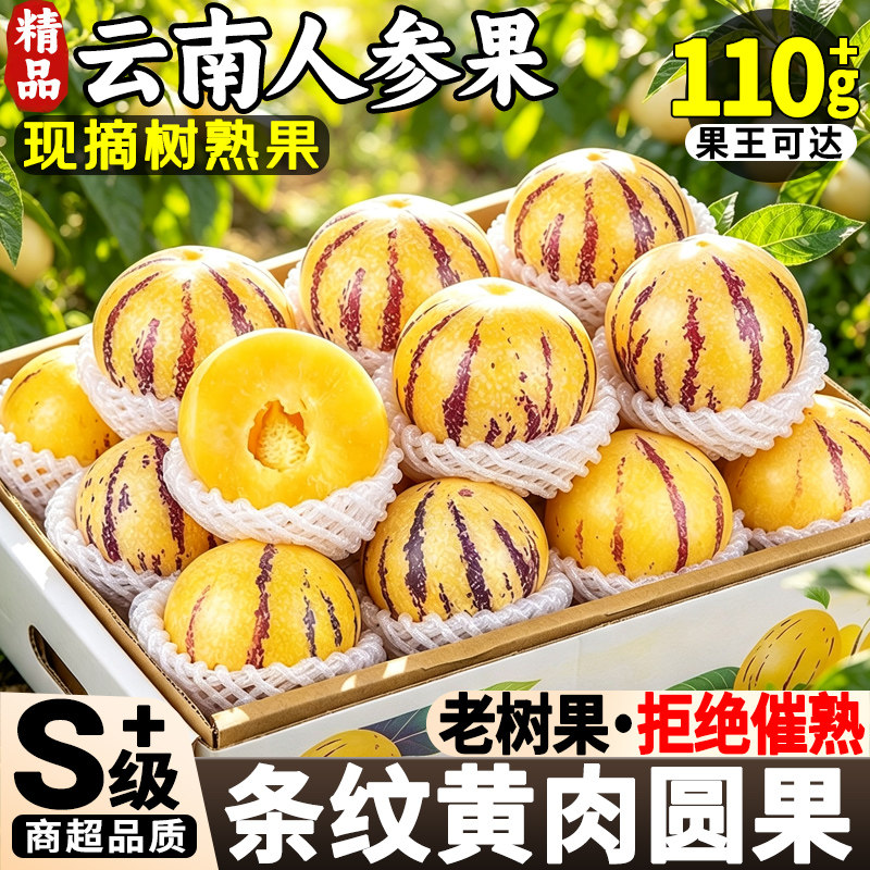 【石林人参果】云南新鲜水果当季整箱树上熟黄果圆果正品人生果娃