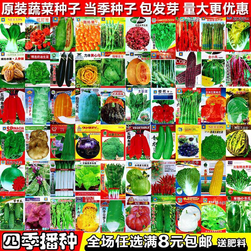 蔬菜种子香菜葱草莓生菜白菜黄瓜西红柿辣椒西瓜阳台盆栽种籽大全,农用物资,育苗/栽培基质,淘宝优惠券,粉丝福利购,淘宝优惠卷