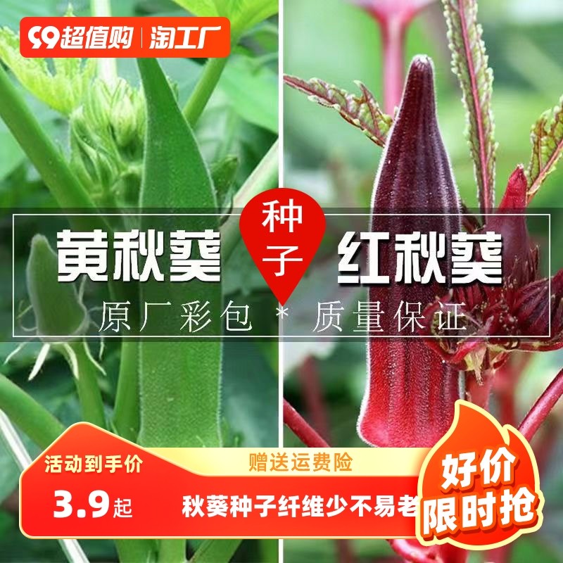 黄秋葵种子种籽四季蔬菜种子红秋葵农家阳台特色蔬菜红蔬菜孑菜种,农用物资,育苗/栽培基质,淘宝优惠券,粉丝福利购,淘宝优惠卷