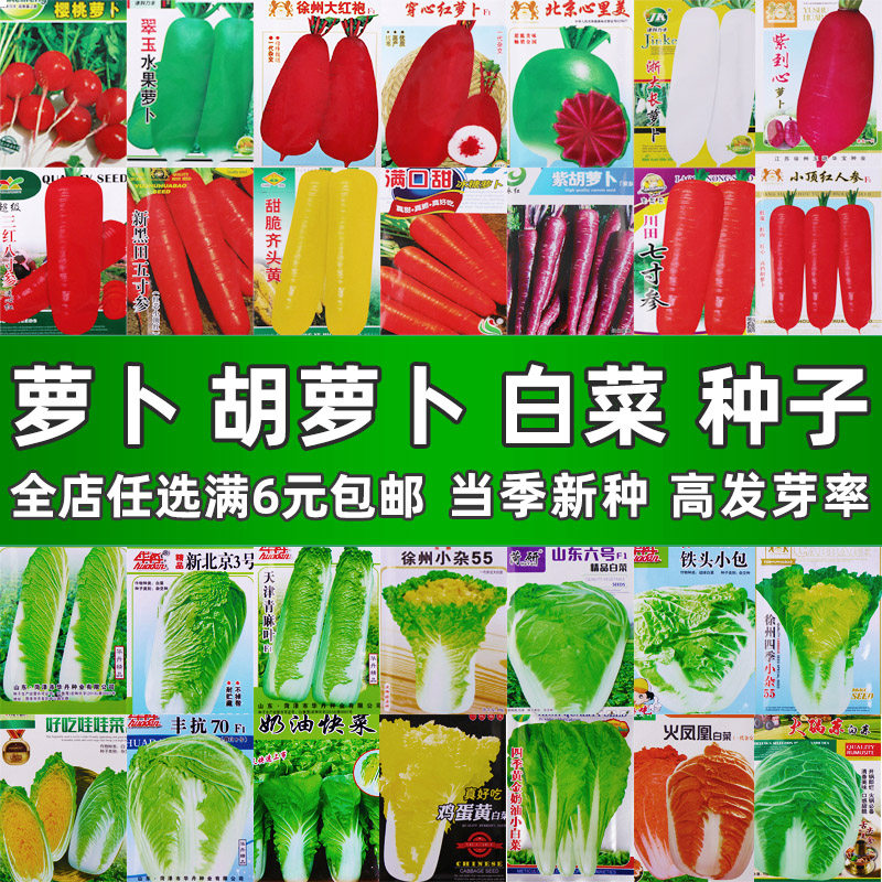 萝卜胡萝卜大白菜种子种籽甜脆大红袍凤梨红白青水果萝卜种孑大全,农用物资,育苗/栽培基质,淘宝优惠券,粉丝福利购,淘宝优惠卷
