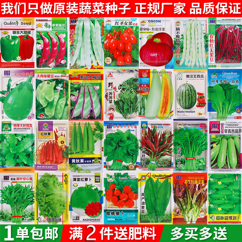 蔬菜种子香菜番茄辣椒菠菜黄瓜青菜籽生菜萝卜白菜四季播种孑大全,农用物资,育苗/栽培基质,淘宝优惠券,粉丝福利购,淘宝优惠卷