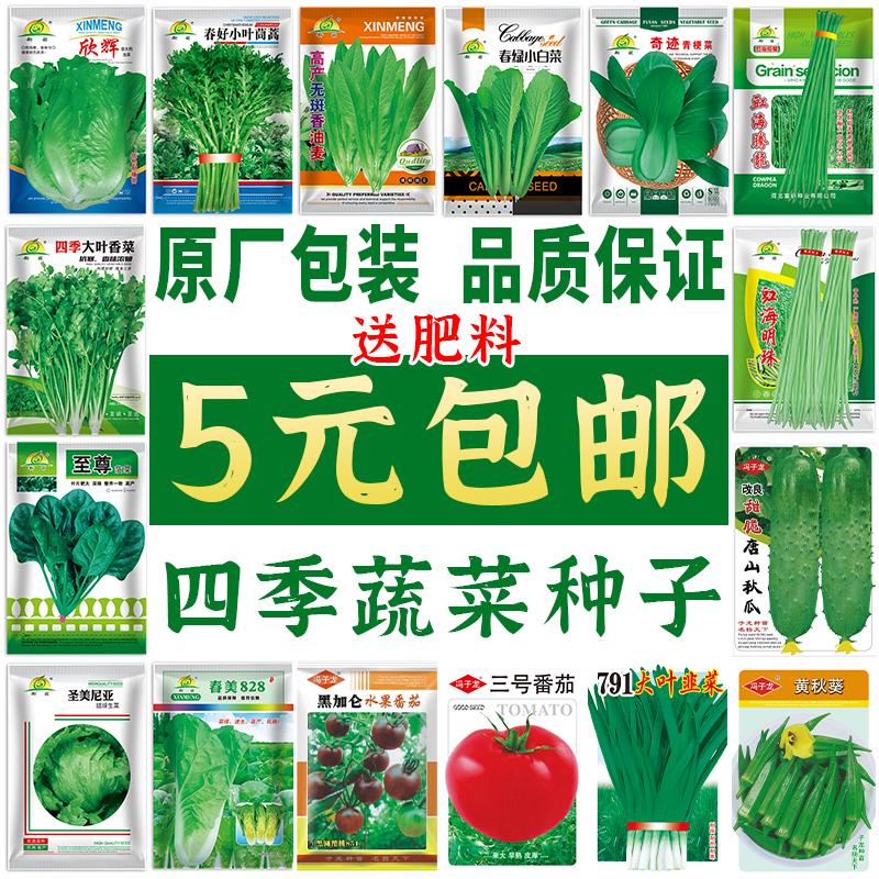 多款四季播种蔬菜种子大全盆栽阳台庭院种植青菜种子小香葱香菜