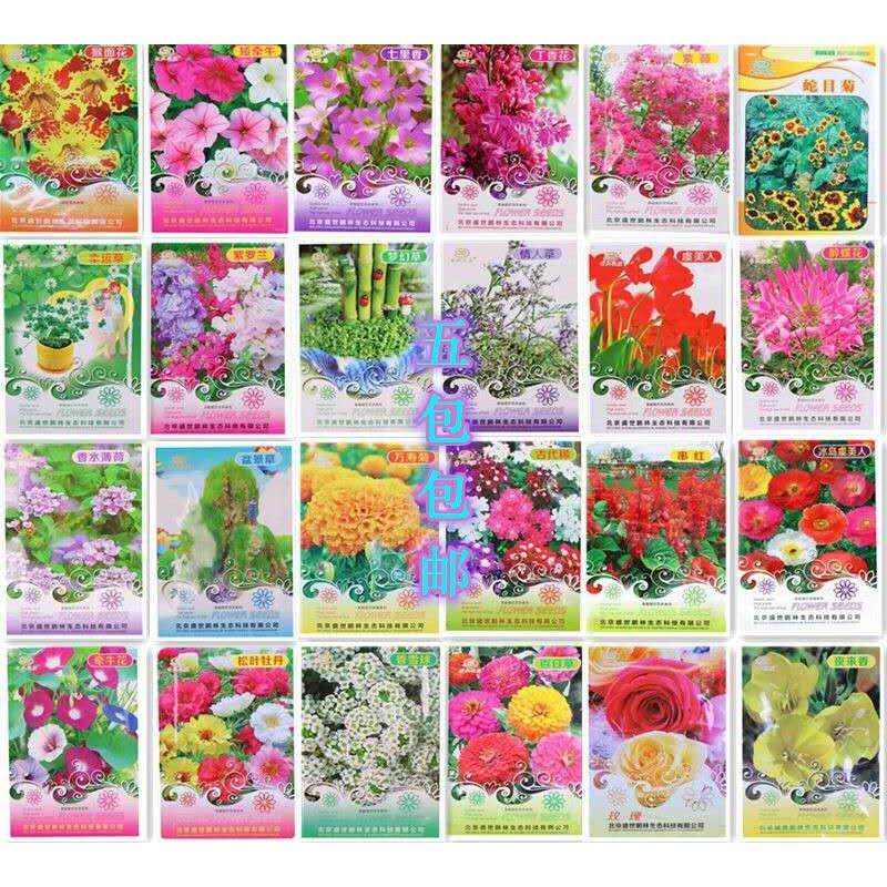 花种子四季盆栽庭院花卉种子薄荷牵牛花文竹牡丹玫瑰室内室外易活
