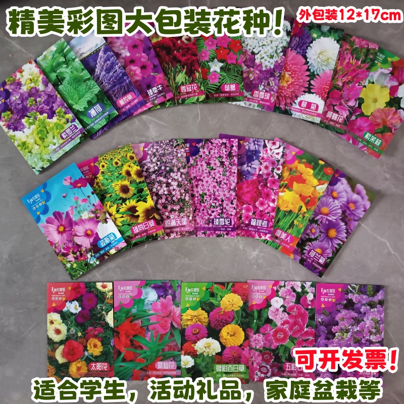 花种子花卉种子彩图原包装学生礼物开业礼品彩包花籽盆栽四季可播