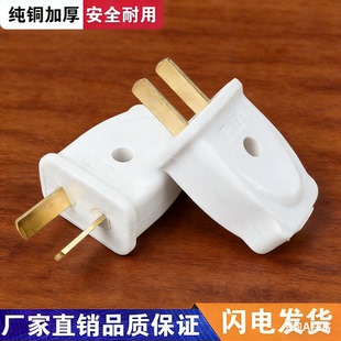 一体铜插头二三脚10A固定转动2极防漏电扦头16A防摔白色