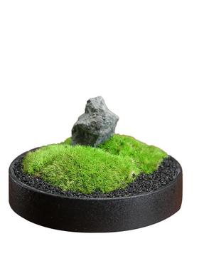 陶瓷微景观创意盆景摆件家用客厅茶室仿真苔鲜绿植盆栽桌面装饰品