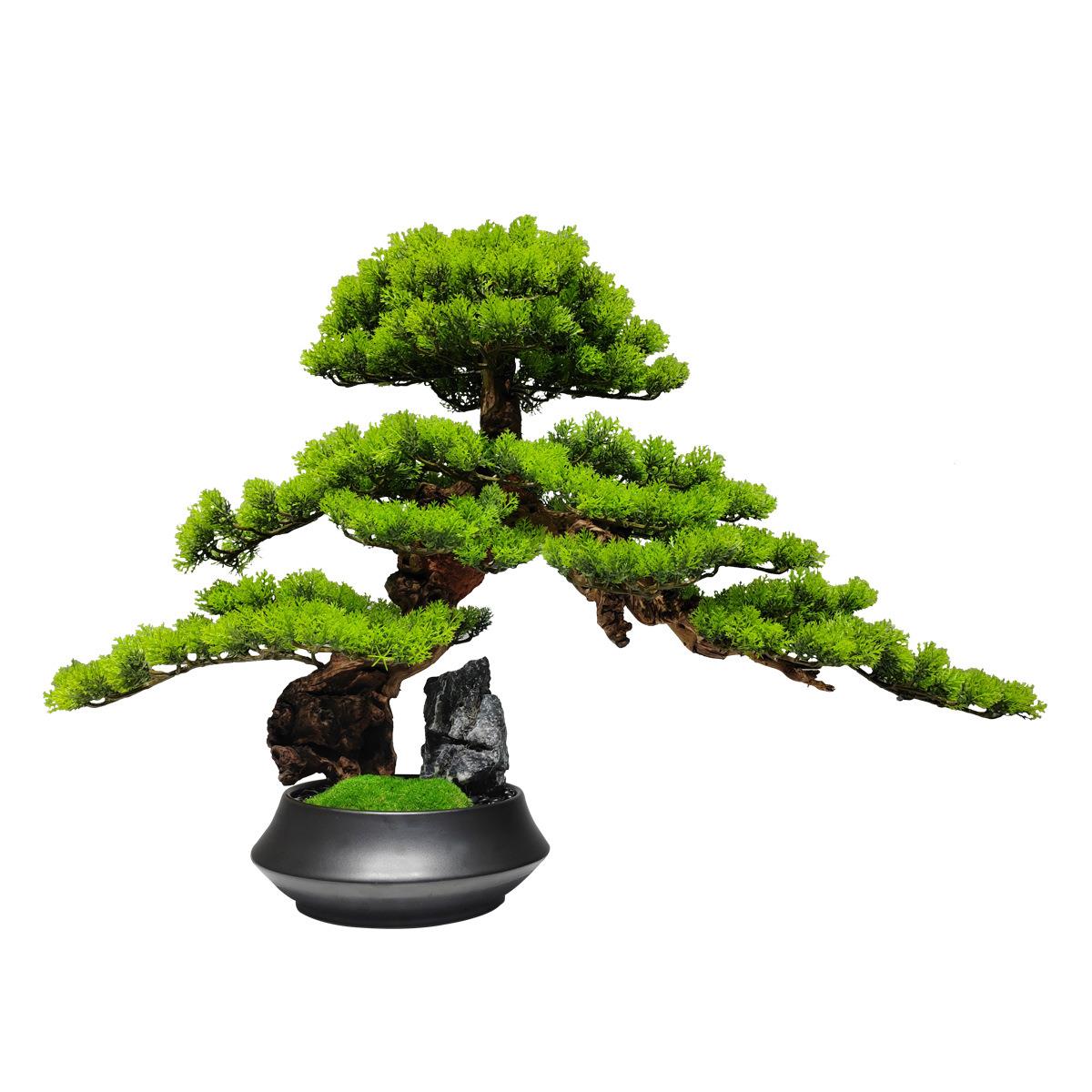 新中式迎客松树盆景摆件石头枯山水样板房玄关微景观绿植陶瓷盆栽