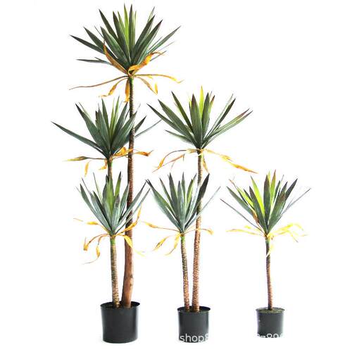 仿真凤尾丝兰树植物热带沙漠假绿植大型落地盆景橱窗室内装饰摆件