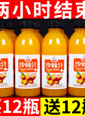 【活动促销】沙棘汁一整箱24瓶装特价正宗沙棘原浆VC果汁饮料包邮