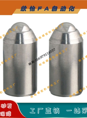 304不锈钢光身重载型球头柱塞BSZP5/6/8/10/12弹簧玻珠ZAL35-D