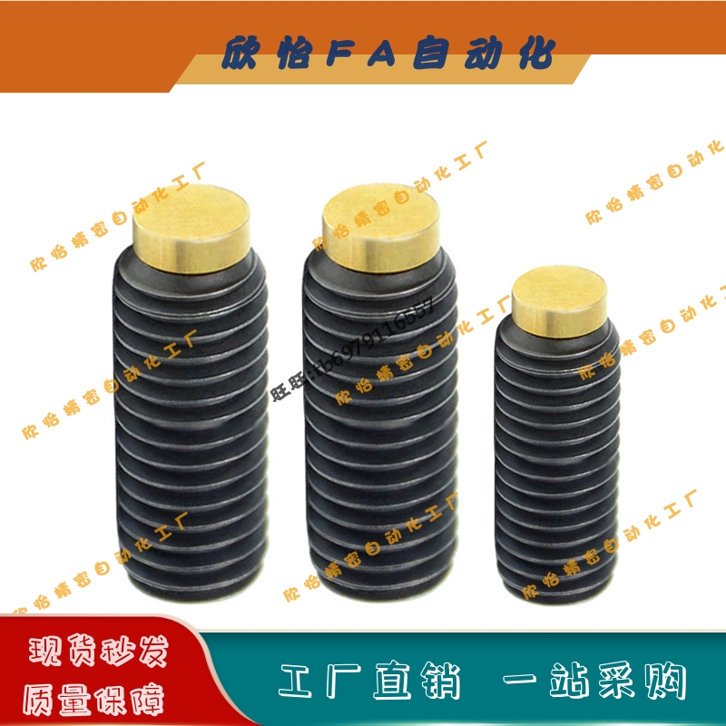 TDA31不锈钢内六角止动螺丝机米SBCPS3/4/5-5/6/8/10/12/16/20/25