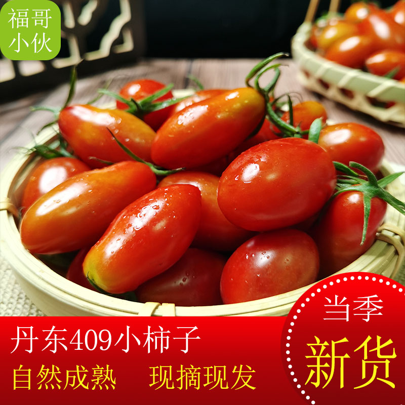 丹东409小柿子现摘现发顺丰包邮