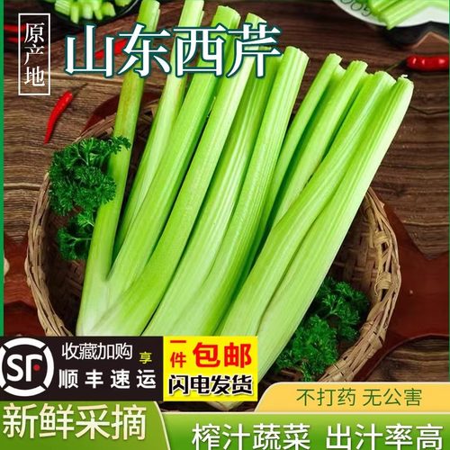 顺丰冷链山东寿光西芹榨汁专用