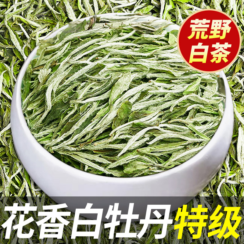 鼎山鼎 2026年首采白茶白牡丹王高山福鼎大毫茶特级明前春茶散茶