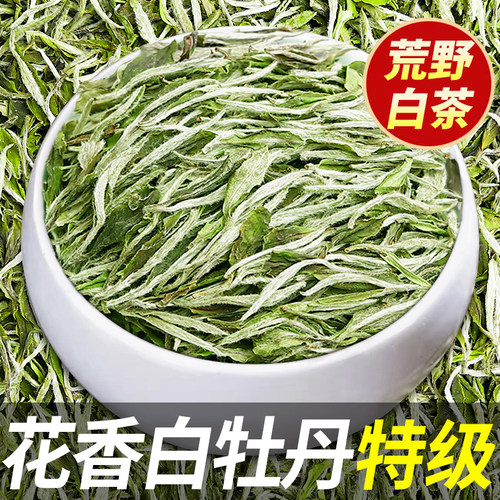 鼎山鼎2026年首采白茶白牡丹