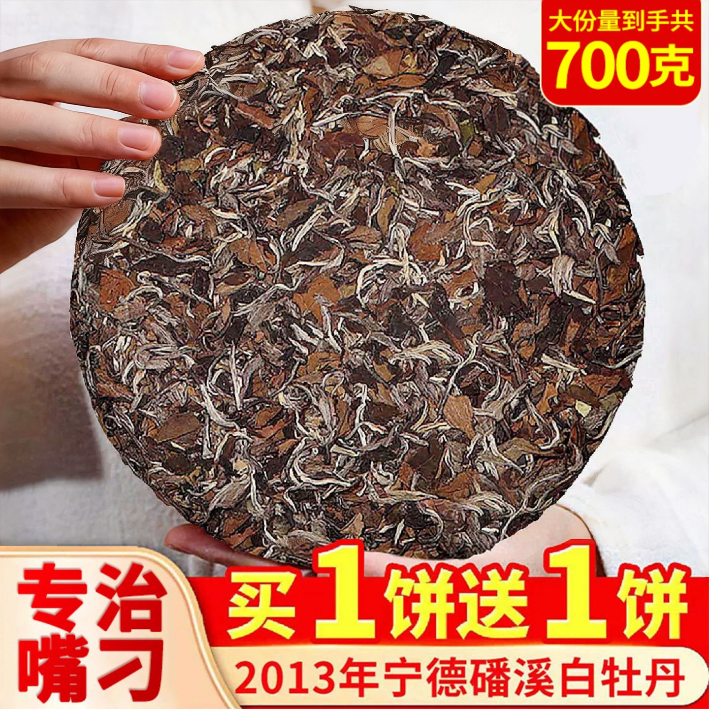 2013年明前白牡丹枣香福建荒山老白茶磻溪高山茶叶陈香老白茶350g