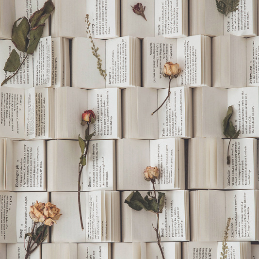 词典图书馆便签本英文单词无粘性手帐拼贴背景装饰素材纸打底纸