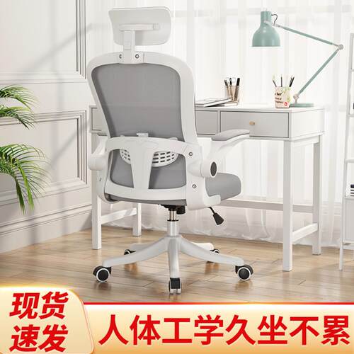 办公椅家用带头枕电脑椅子网布