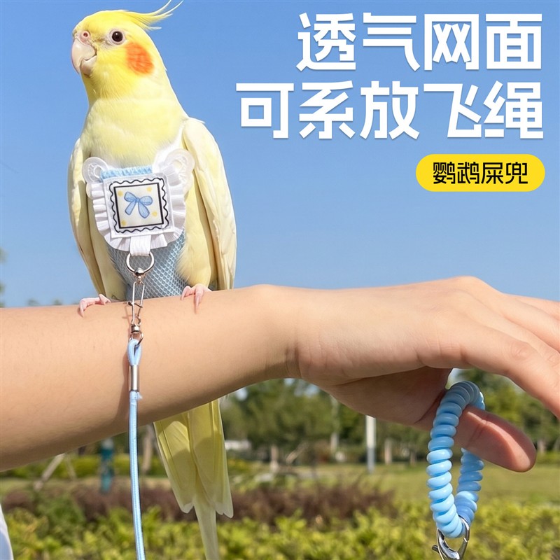 鹦鹉屎兜和尚尿不湿牡丹小太阳拉屎神器便兜夏玄凤小鸟纸尿裤尿片