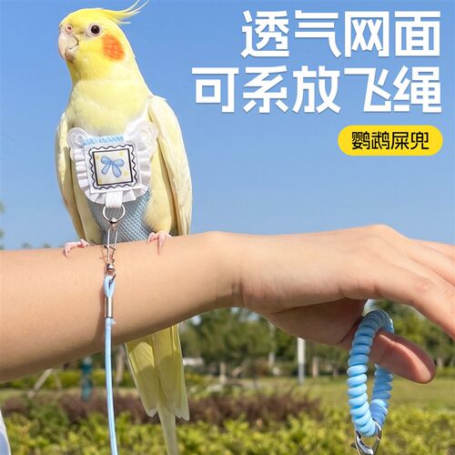 鹦鹉屎兜和尚尿不湿牡丹小太阳拉屎神器便兜夏玄凤小鸟纸尿裤尿片