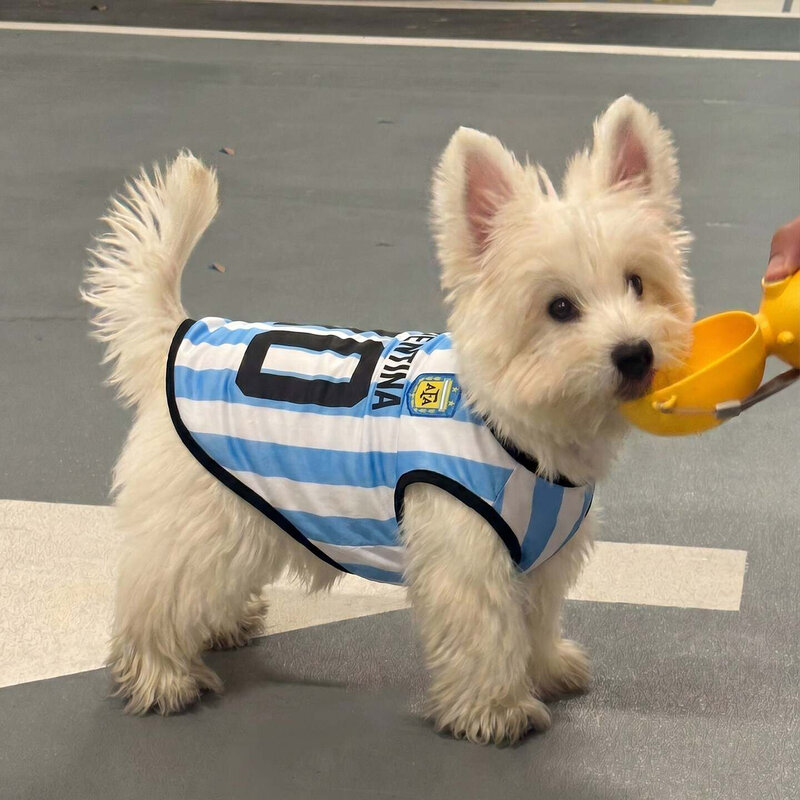 狗狗衣服夏日薄款小中大型犬世界杯球衣猫咪篮足球服宠物背心T恤
