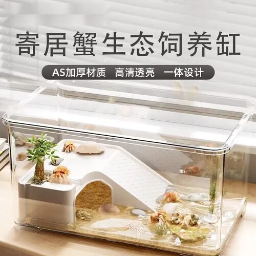 寄居蟹饲养箱套装小型桌面爬宠盒相守蟹螃蟹生态养殖箱乌龟饲养缸