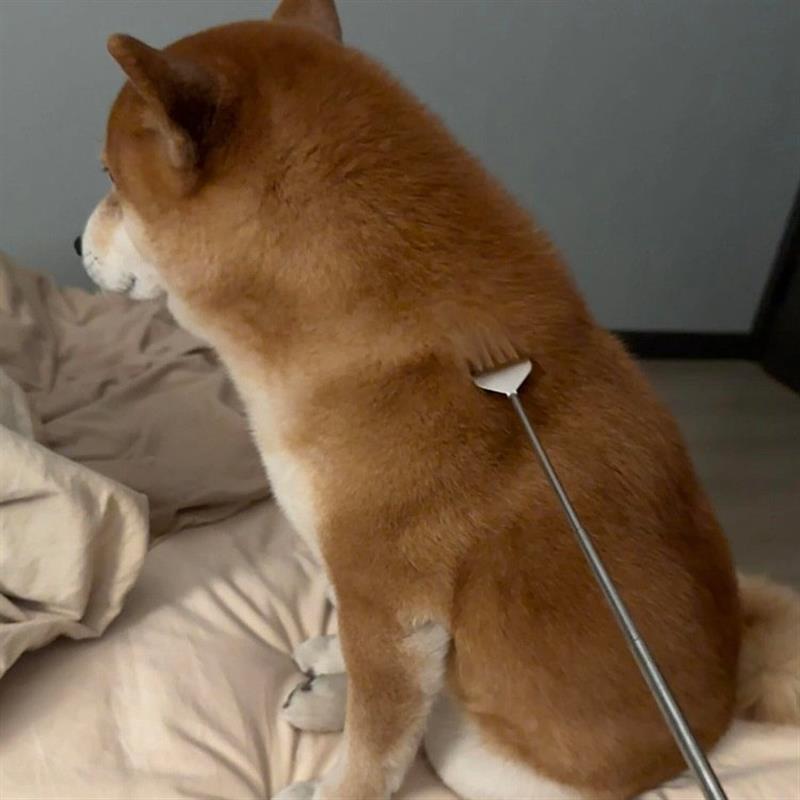 痒痒挠梳毛小排梳解痒神器猫咪逗猫棒互动玩具