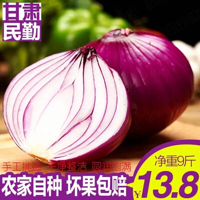 新鲜现挖紫皮洋葱 甘肃民勤农家自种蔬菜水果红洋葱头小圆葱包邮