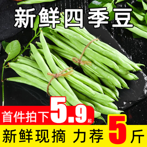 四季豆新鲜现摘云南当季农家时令蔬菜芸长扁豆角9斤整箱露天种植