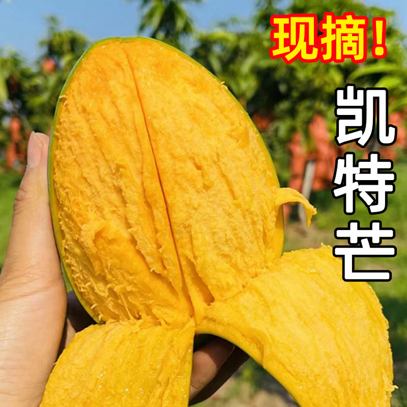 新鲜凯特芒果现摘青皮芒应季热带水果自然熟超甜苹果芒9斤特大果