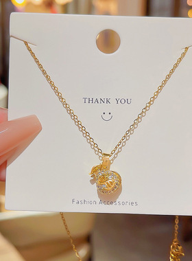 幸运新年钱袋钛钢项链不掉色设计感锁骨链2025年新款网红颈链