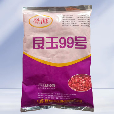 良玉99号玉米种子杂交高产优质春秋种籽国审大田饲料特大玉米种孑