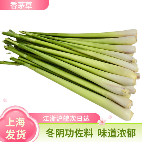上海发货新鲜香茅草柠檬草冬阴功汤料净杆奶茶店西餐香料