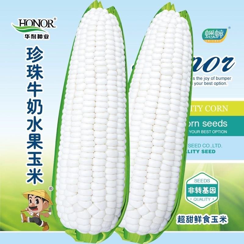 珍珠牛奶水果玉米种子冰糖超