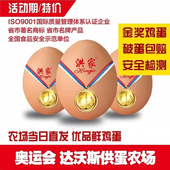 大连洪家优品鲜鸡蛋30枚蛋顺丰 包邮
