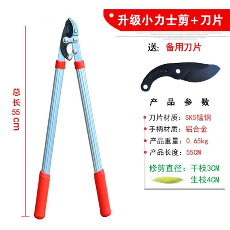 修树枝剪刀粗枝剪修果树剪刀省力修剪树枝剪刀园林剪树枝大力剪刀