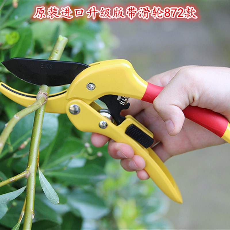 德国进口钢材园林工具花木修剪树枝果树剪子粗枝剪修枝剪园艺剪刀