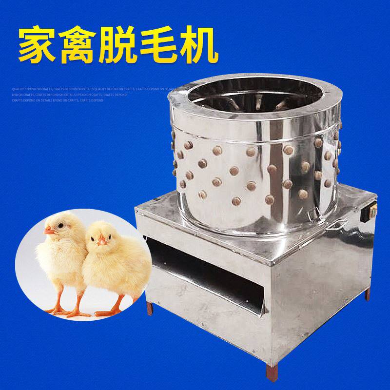 刚出壳小鸡脱毛机 鸽子脱绒机 50型自动家禽脱毛机 鹌鹑脱毛机