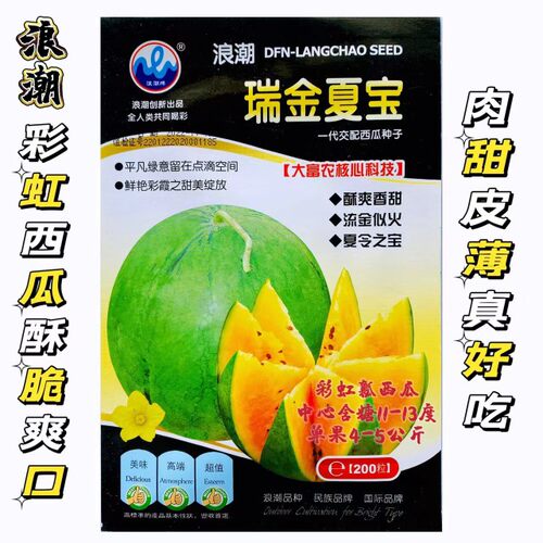 瑞金大宝夏宝绿皮黄壤西瓜种子