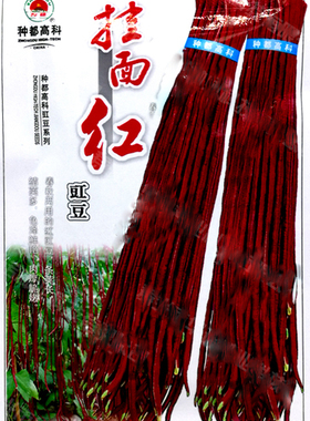 特长春秋红豇豆种子 豆角种籽 四季豆架豆早熟红色长豆角高产包邮