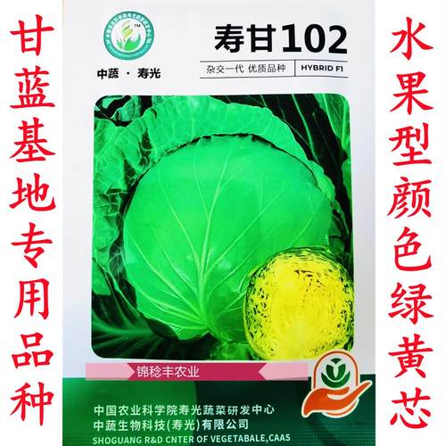 寿甘101 寿甘102水果甘蓝韩美绿球泽鸿韩绿甘蓝种子黄芯松软型籽