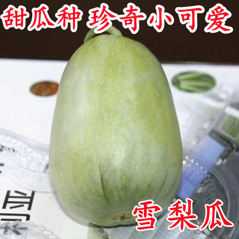 雪梨瓜灰鼠子小可爱2号甜瓜种籽早熟抗病强春季水果超甜甜瓜种子