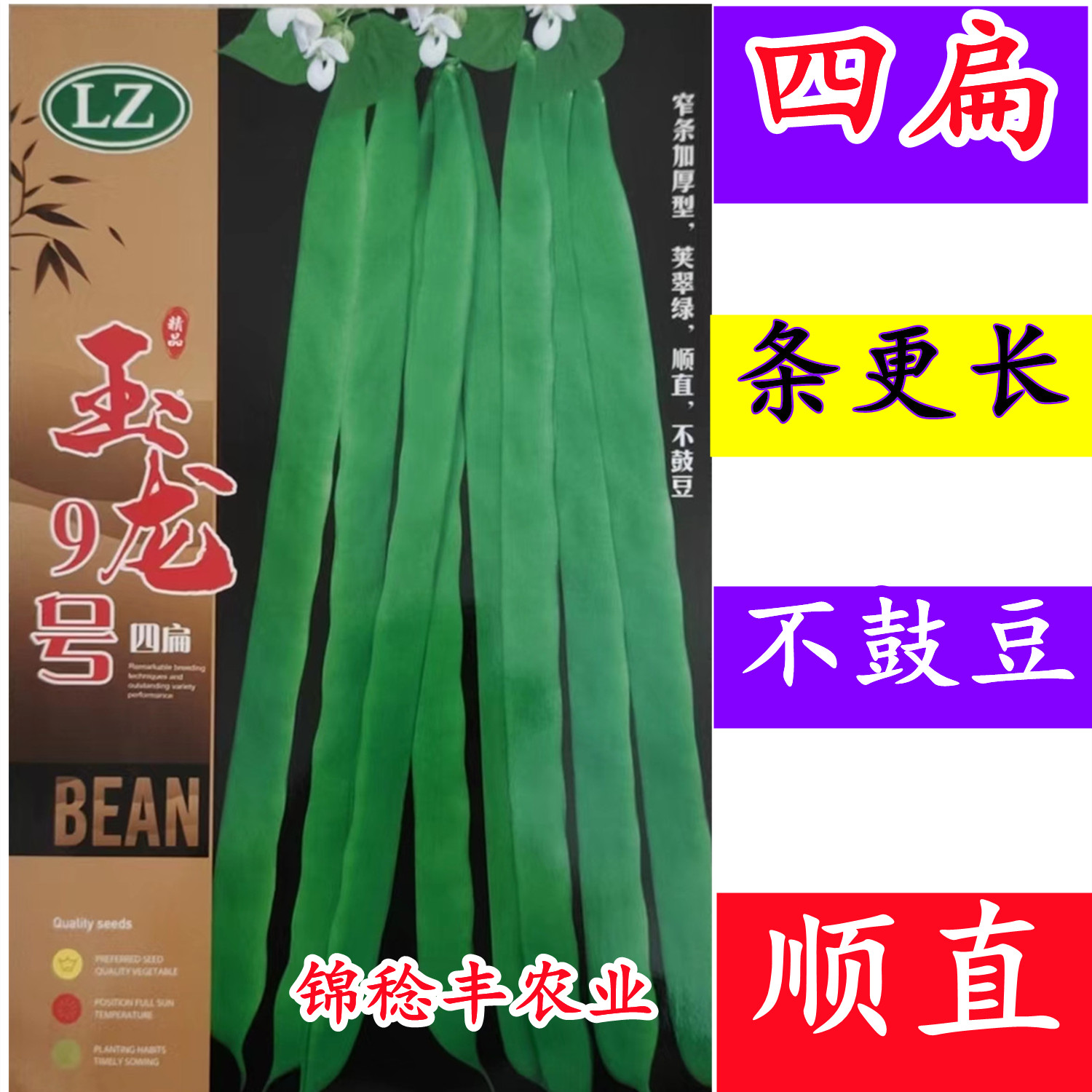 玉龙9号四扁芸豆条顺直不鼓豆