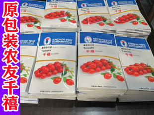 台湾农友千禧樱桃番茄种子 桃红色千禧小番茄种籽 千禧圣女果种孑