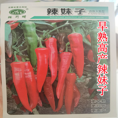 辣妹子辣椒种子苗超辣青椒红椒干椒辣椒种籽辣味浓高产春季蔬菜孑